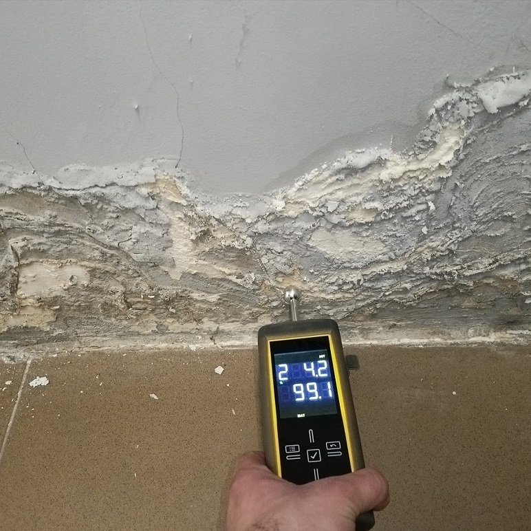 Moisture mapping leak detection — calibrated moisture meter reading on wall